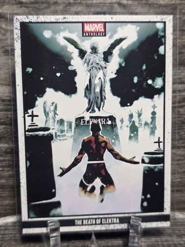 2025 panini marvel - panini, anthology