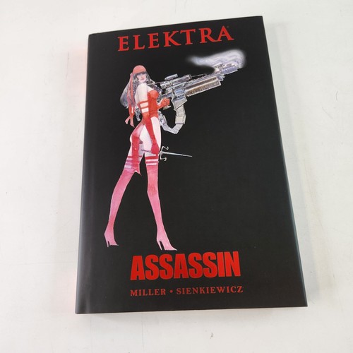Elektra assassin graphic novel - assassin,