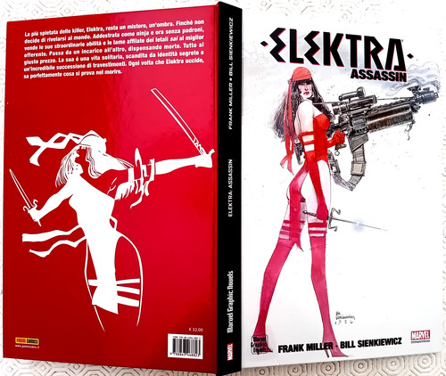 Elektra assassin frank - assassin,